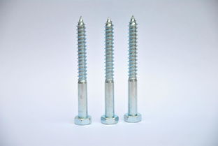 專業(yè)東莞螺絲生產(chǎn)廠家在廣東,陽江不銹鋼自攻螺絲釘